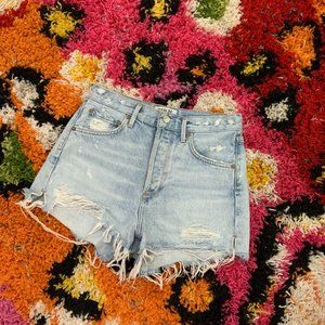 Agolde Jaden High Rise Shorts